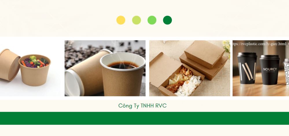 Các loại bao bì giấy nhà RVC cung cấp